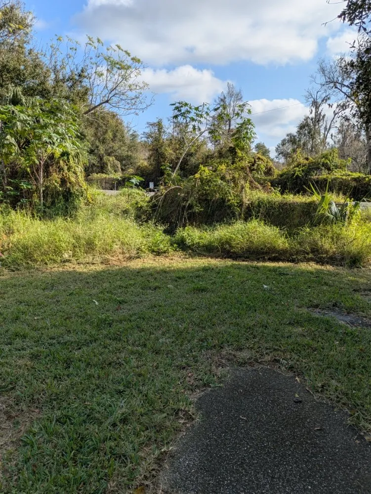 Local landscape design experts serving Orlando, FL - Me And My Daddy Landscape