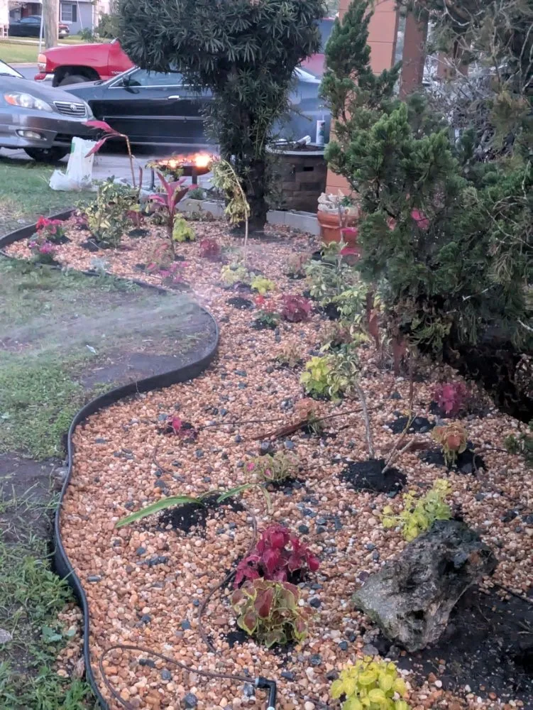 Reliable outdoor landscaping for residential properties across Orlando, FL - Me And My Daddy Landscape