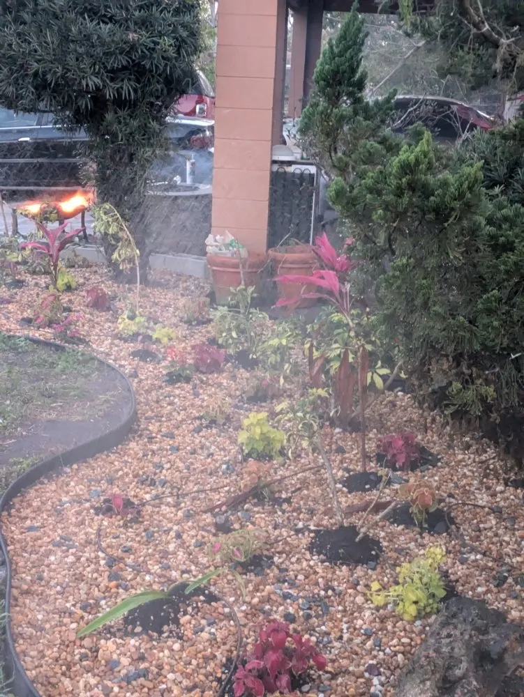 Reliable landscape installation in Orlando, FL by Me And My Daddy Landscape