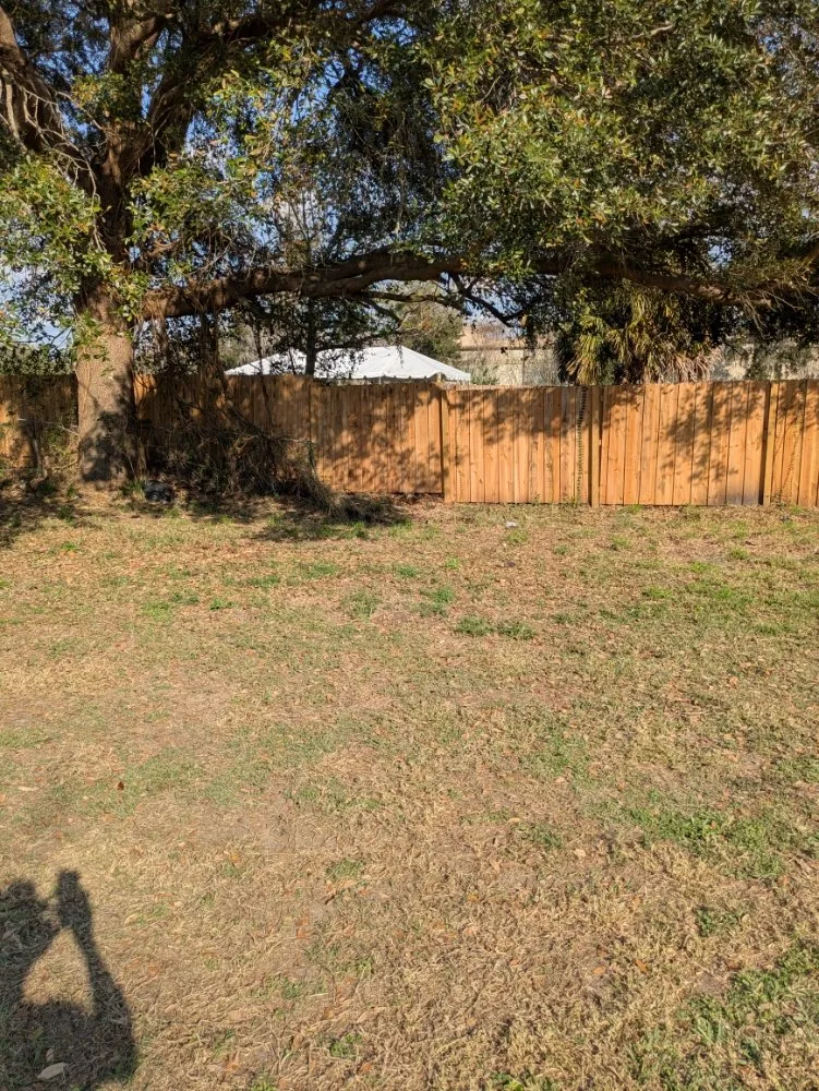 Custom landscaping services for outdoor upgrades across Orlando, FL - Me And My Daddy Landscape