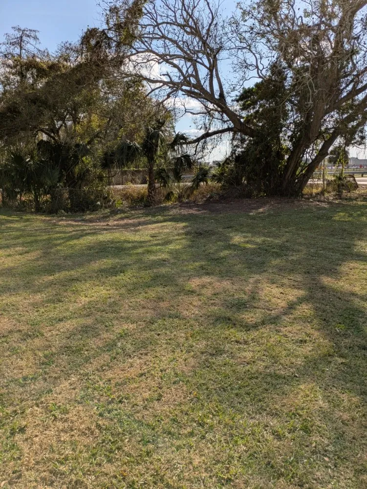 Reliable landscaping services in Orlando, FL by Me And My Daddy Landscape