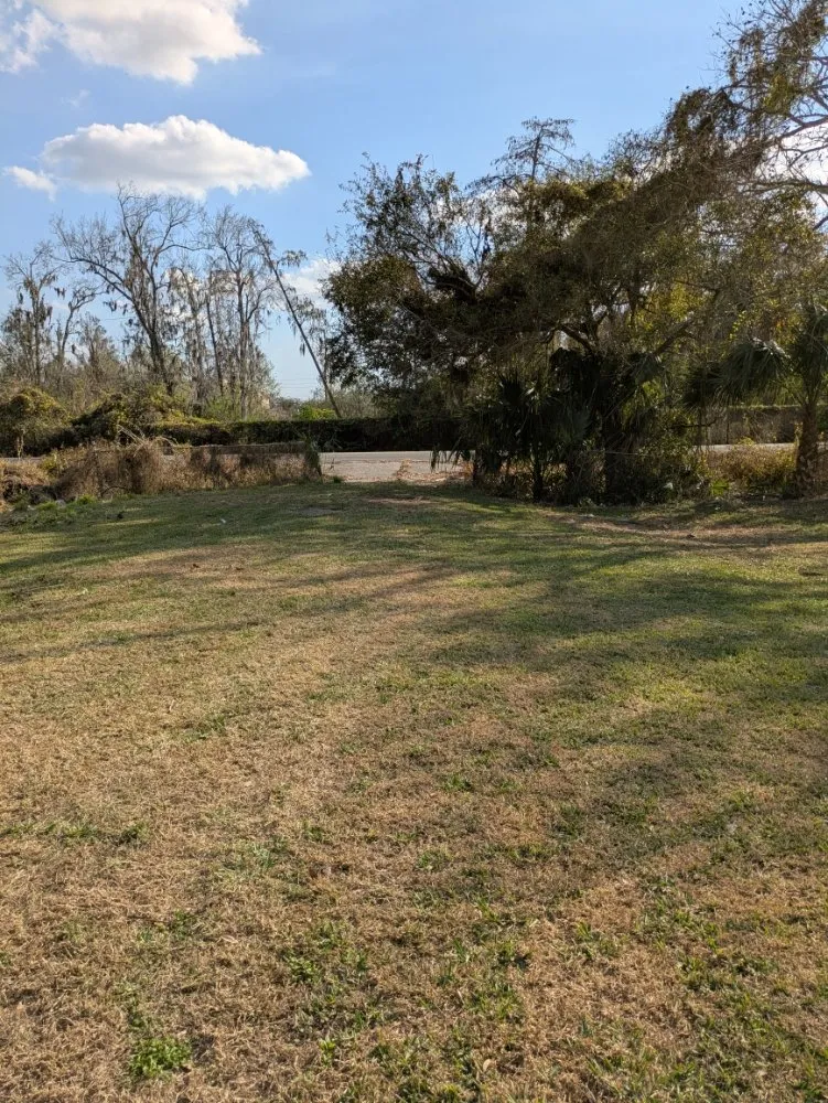 Professional outdoor landscaping with custom design in Orlando, FL by Me And My Daddy Landscape