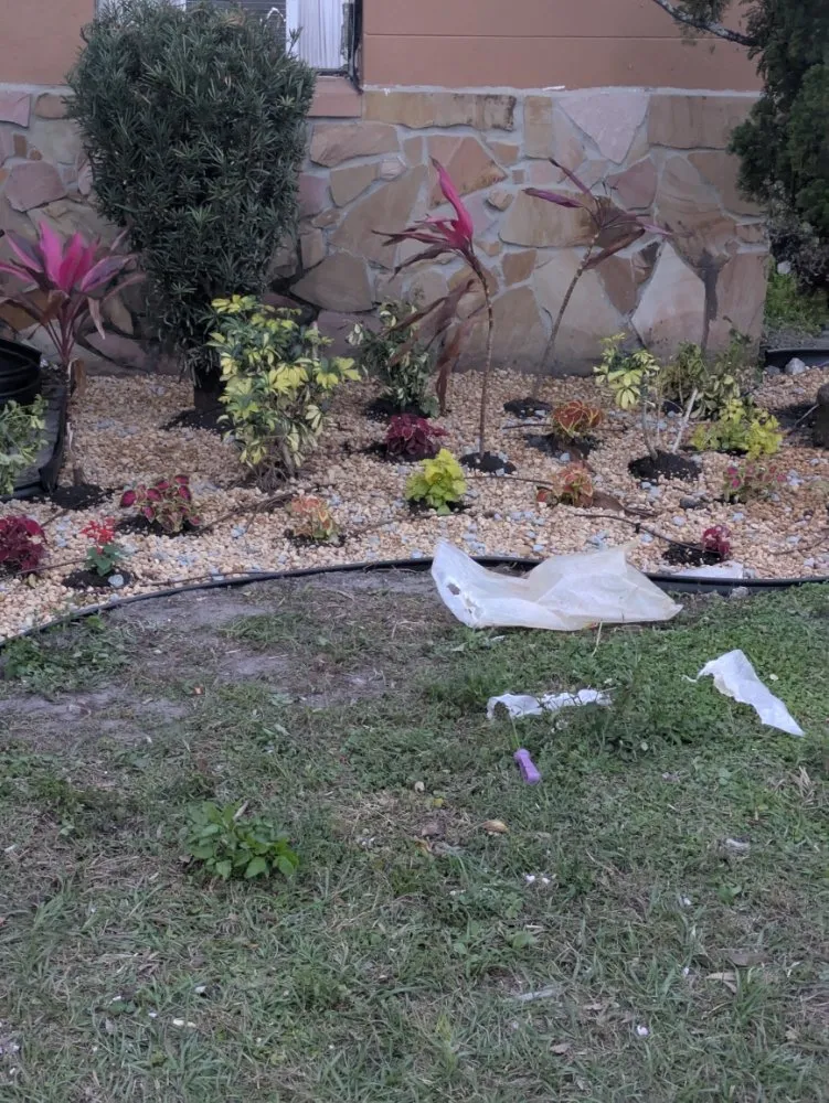 Local yard cleanup service for homes across Orlando, FL - Me And My Daddy Landscape