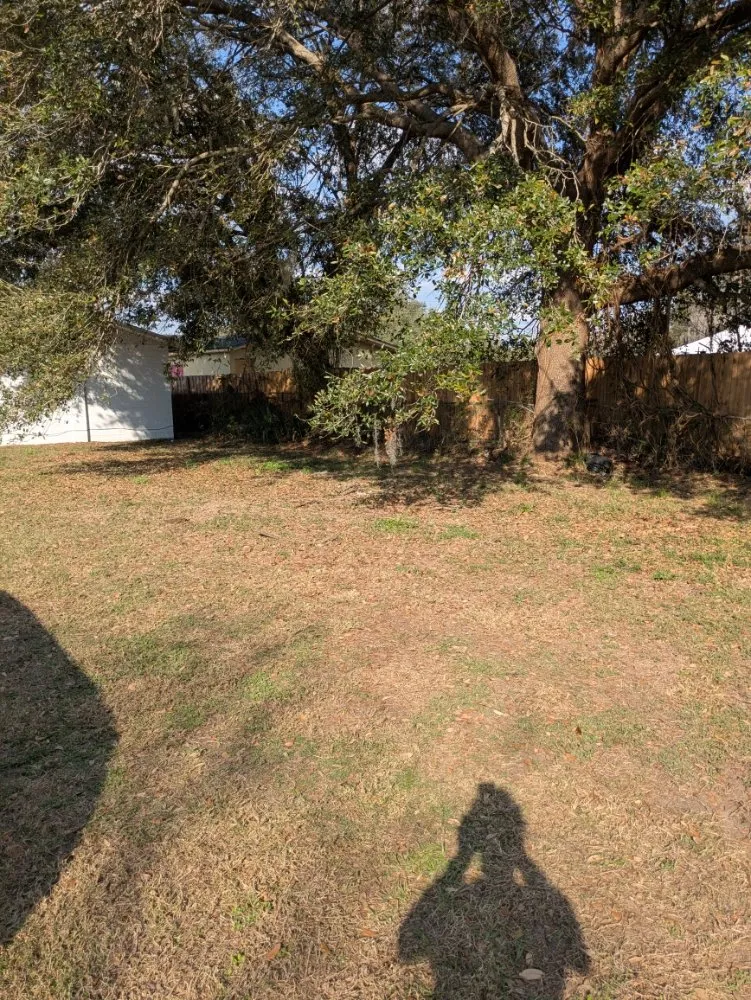 Custom outdoor landscaping in Orlando, FL - Me And My Daddy Landscape