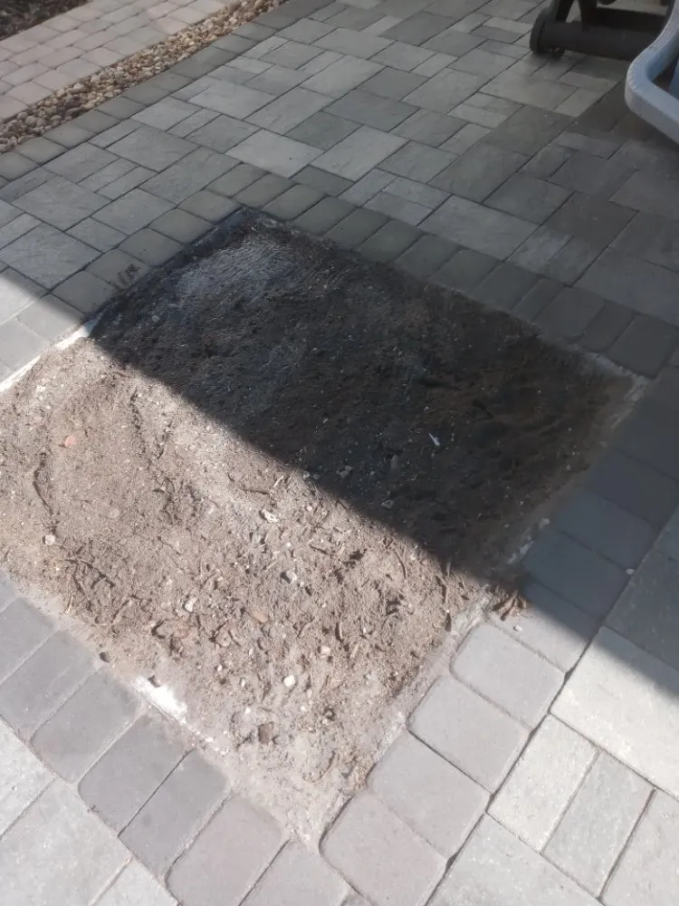 Local lawn mowing service for beautiful yards across Orlando, FL - Me And My Daddy Landscape