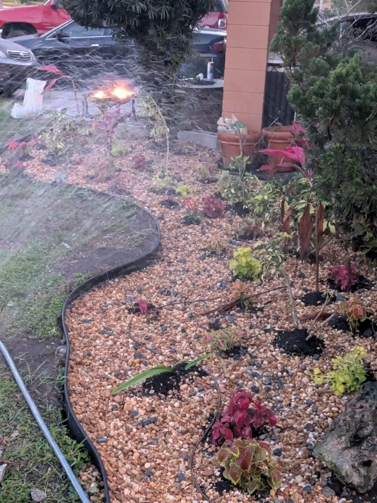 Local lawn care service for residential properties across Orlando, FL - Me And My Daddy Landscape