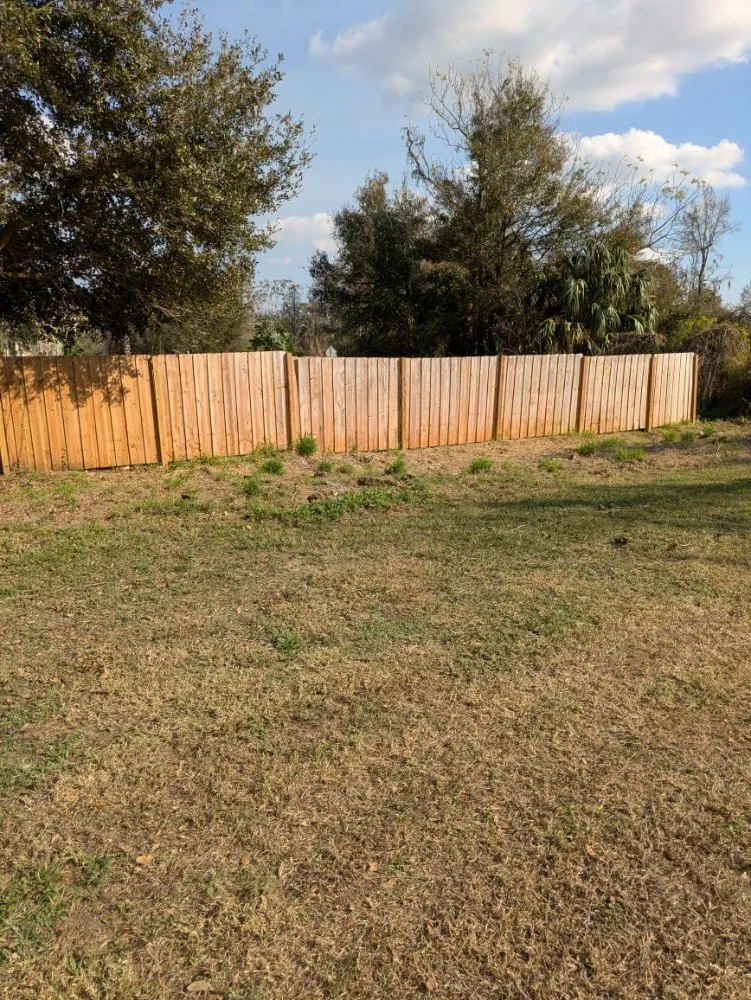 Custom yard maintenance in Orlando, FL - Me And My Daddy Landscape