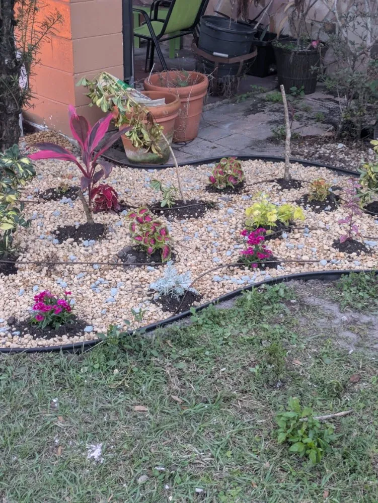 Reliable residential landscaping for year-round maintenance across Orlando, FL - Me And My Daddy Landscape