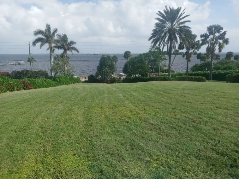 Professional landscape installation for homes across Orlando, FL - Me And My Daddy Landscape