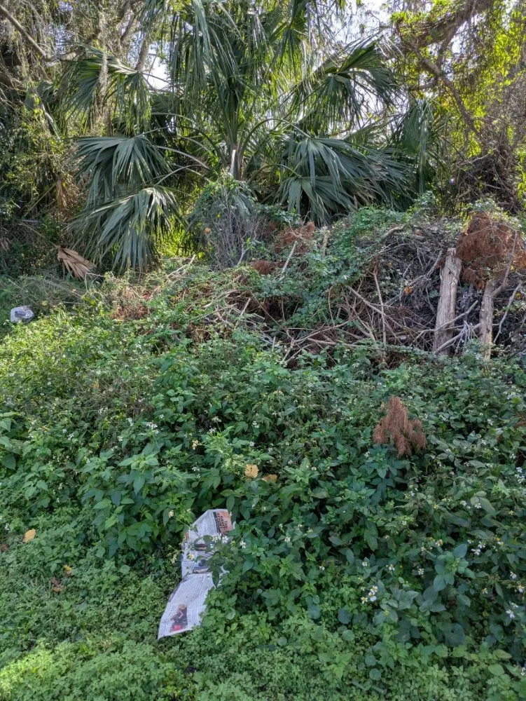 Affordable landscaping services in Orlando, FL by Me And My Daddy Landscape