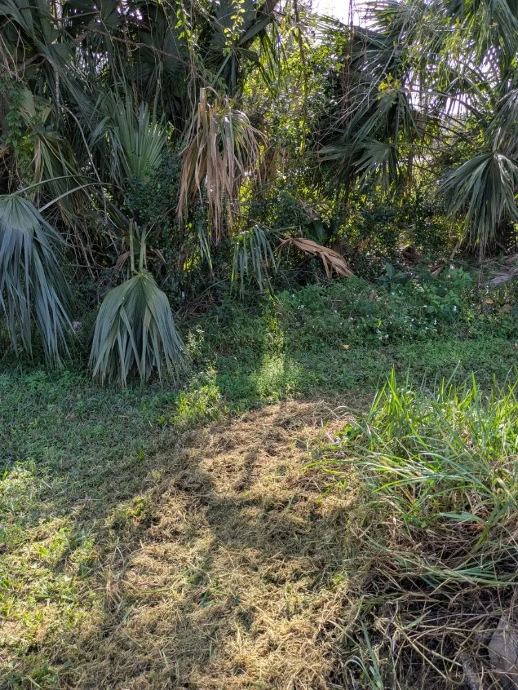 Trusted lawn care service for outdoor upgrades across Orlando, FL - Me And My Daddy Landscape