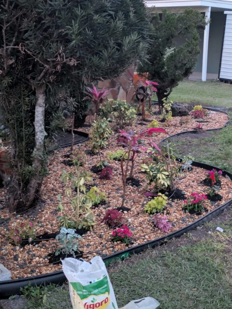 Local garden landscaping in Orlando, FL - Me And My Daddy Landscape