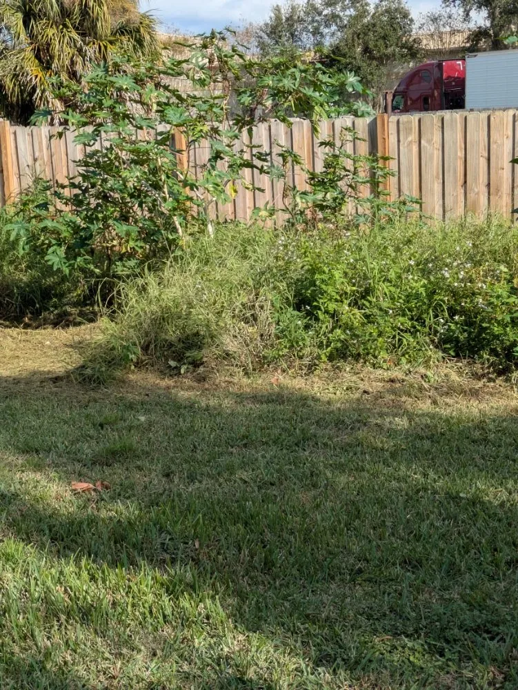 Trusted landscape installation in Orlando, FL - Me And My Daddy Landscape