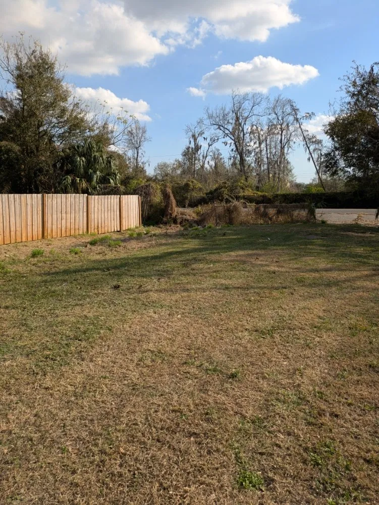 Reliable landscape design in Orlando, FL - Me And My Daddy Landscape