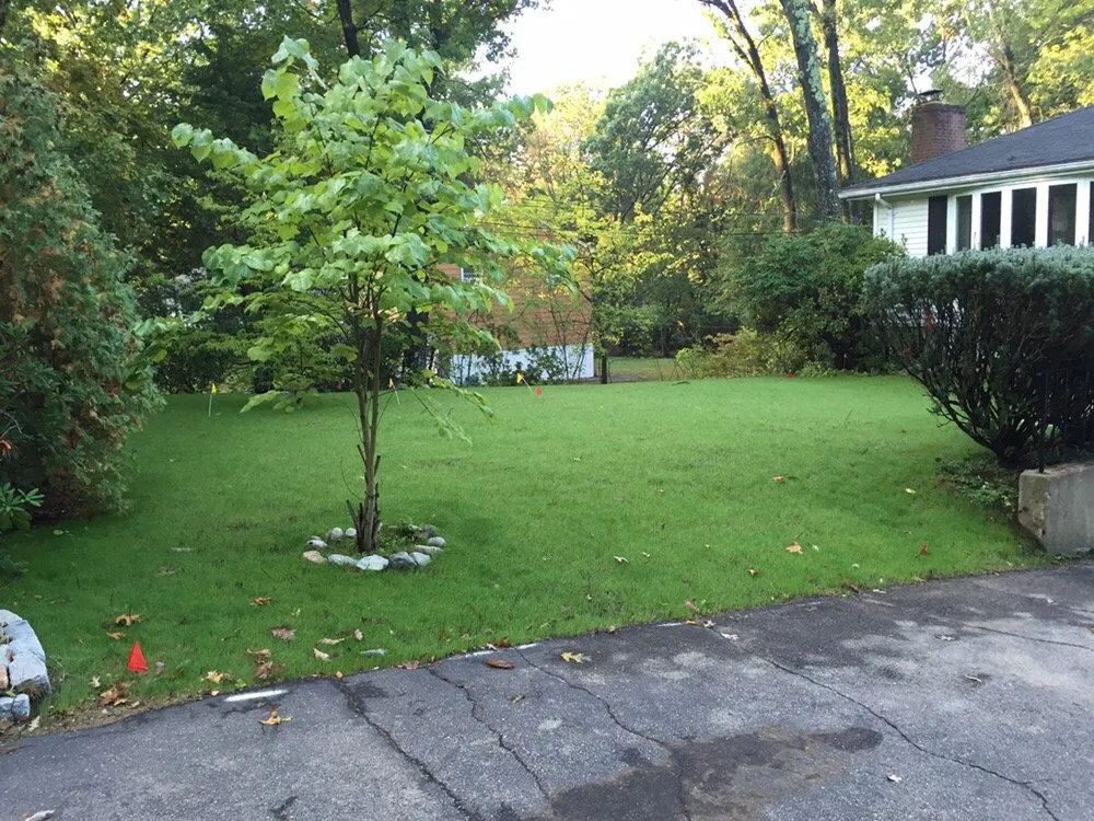 Professional yard cleanup service in Burlington, MA - M.E. BASS LANDSCAPING