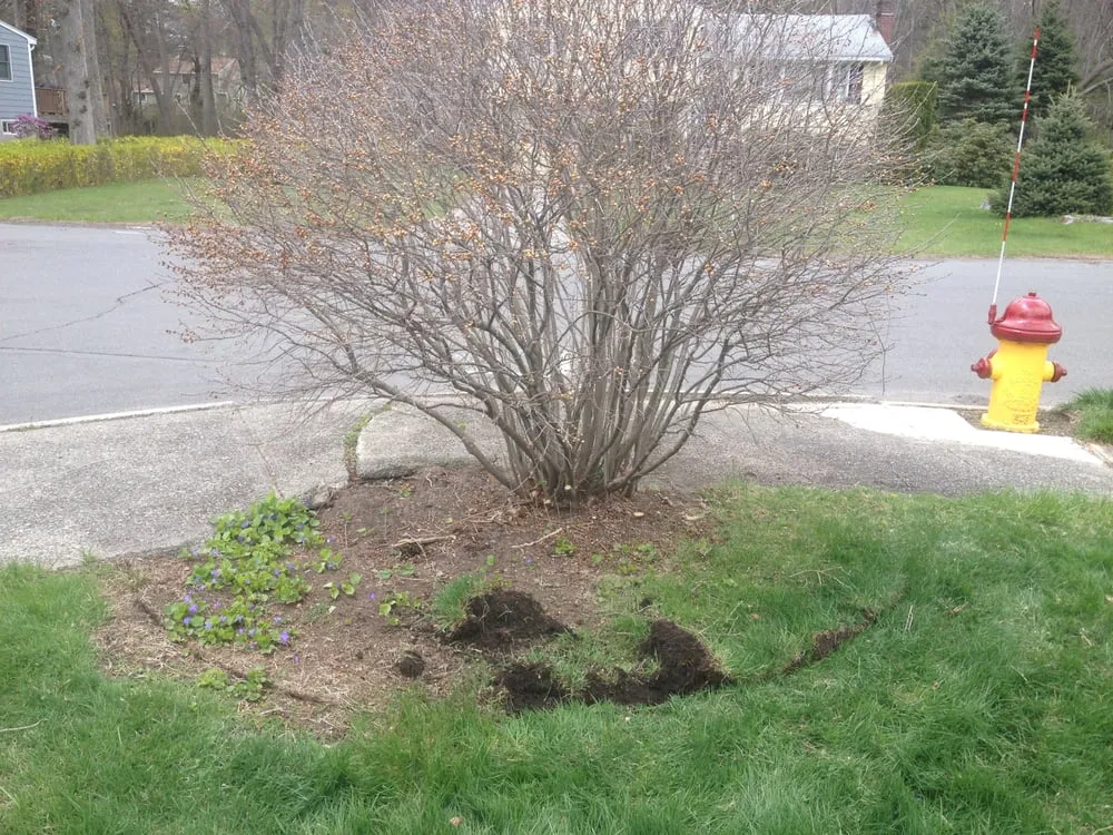 Affordable landscape installation in Burlington, MA - M.E. BASS LANDSCAPING