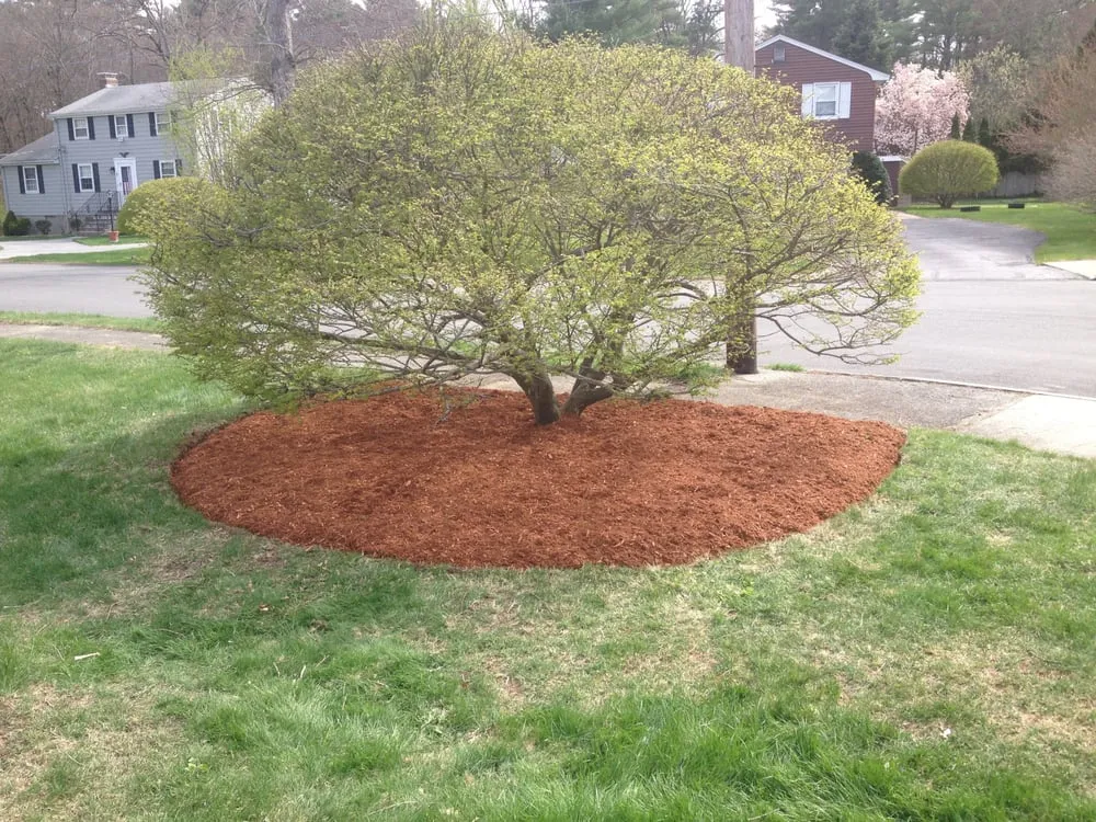 Expert landscape design for year-round maintenance in Burlington, MA by M.E. BASS LANDSCAPING