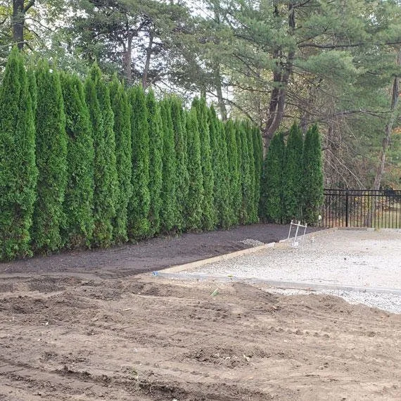 Reliable yard maintenance for homes across Lynn, MA - M&E Irrigation and Hardscaping
