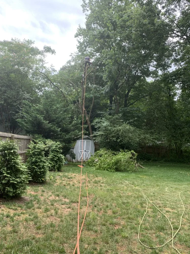 Top-rated outdoor landscaping experts serving Annapolis, MD - M&E Landscaping