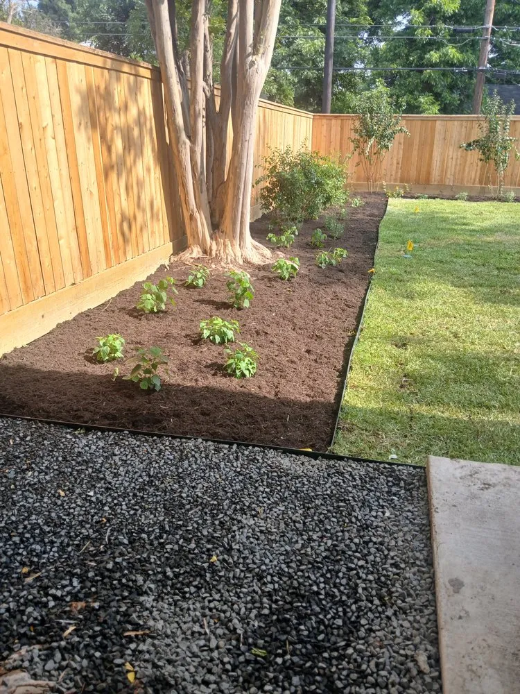 Reliable yard maintenance in San Antonio, TX - M&E Landscaping