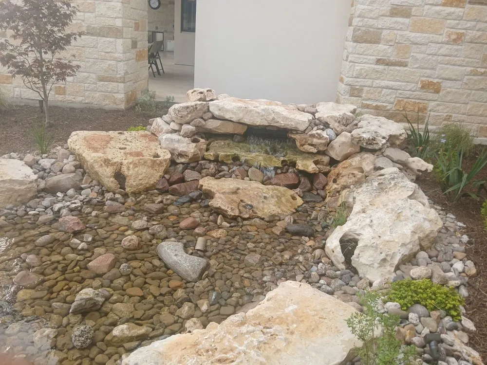 Expert lawn care service for year-round maintenance in San Antonio, TX by M&E Landscaping