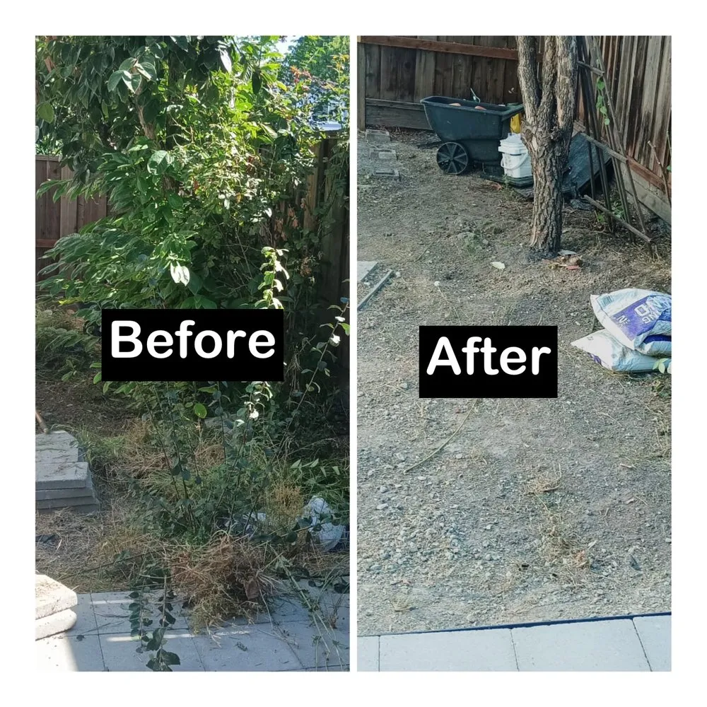 Affordable outdoor landscaping in San José, CA - Me Landscaping