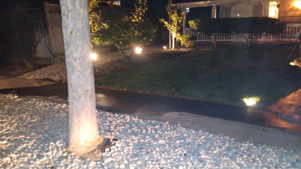 Custom yard cleanup service in San José, CA - Me Landscaping