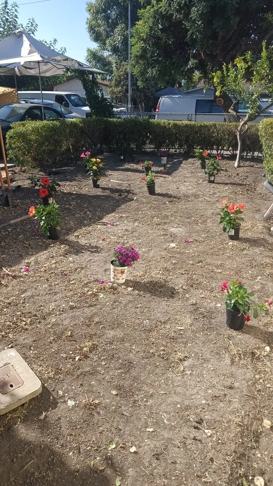 Local garden landscaping in San José, CA by Me Landscaping