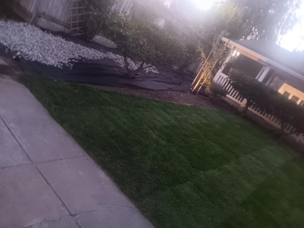 Reliable landscaping services experts serving San José, CA - Me Landscaping