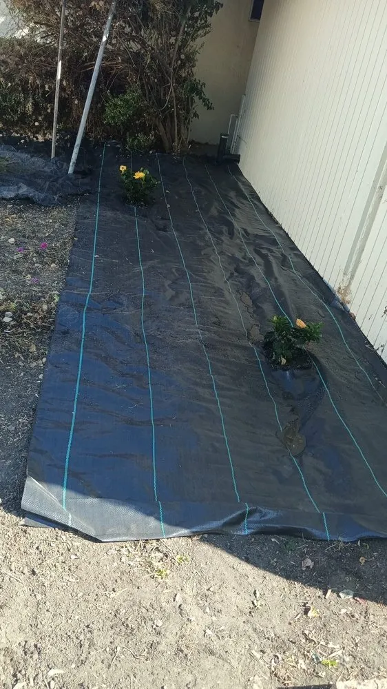 Reliable yard maintenance in San José, CA - Me Landscaping