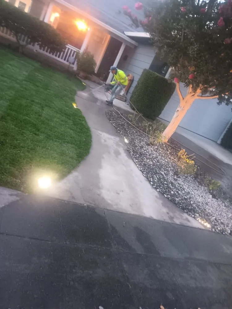 Trusted lawn care service for homes across San José, CA - Me Landscaping