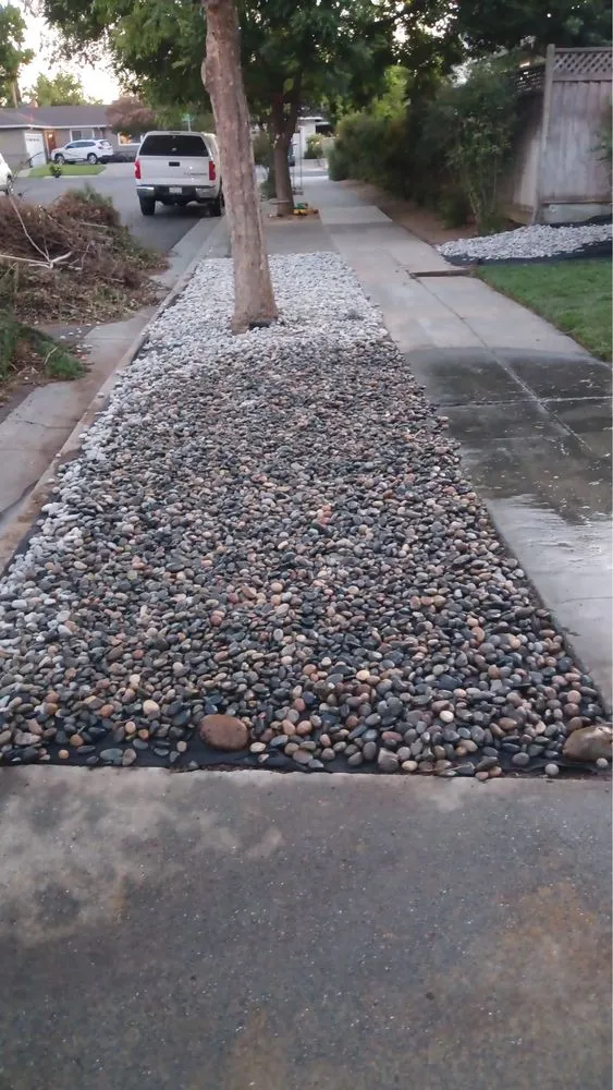 Reliable lawn mowing service experts serving San José, CA - Me Landscaping