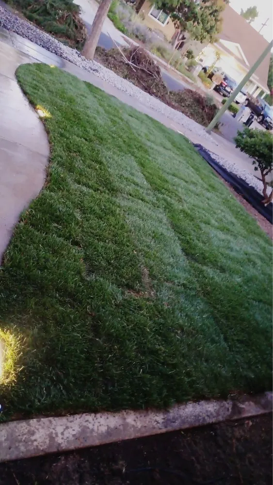 Affordable residential landscaping with custom design across San José, CA - Me Landscaping