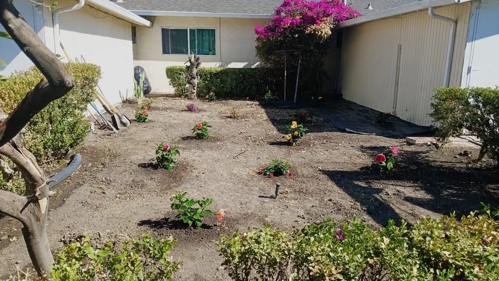 Trusted landscape installation in San José, CA by Me Landscaping