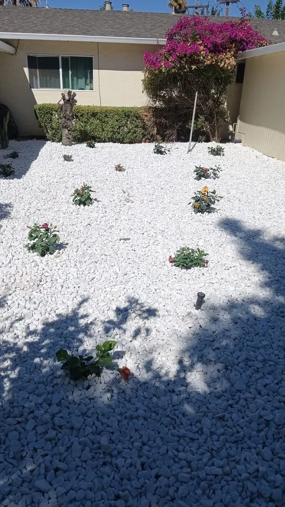 Top-rated landscaping services for residential properties across San José, CA - Me Landscaping