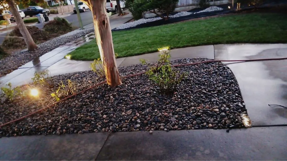 Expert landscape installation in San José, CA by Me Landscaping