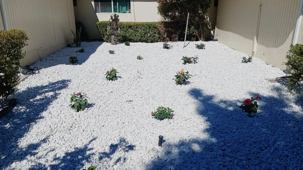Affordable landscaping services with custom design across San José, CA - Me Landscaping
