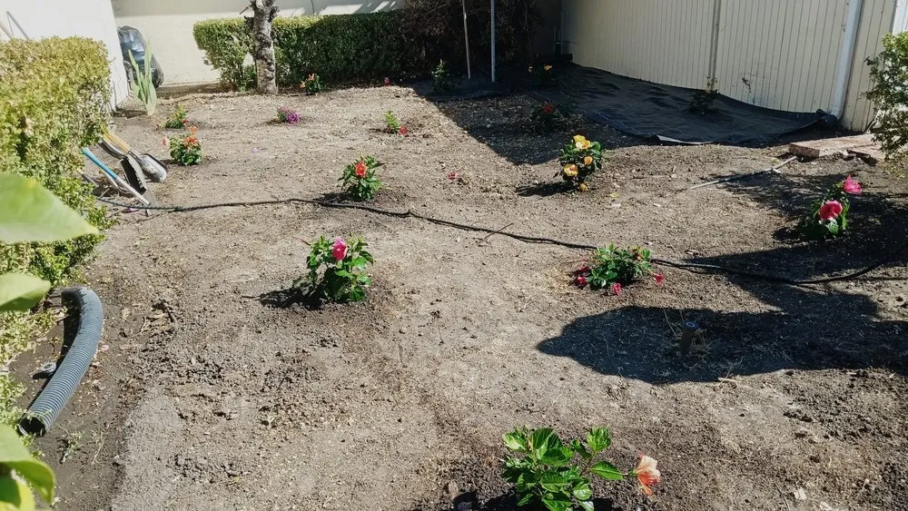 Custom garden landscaping for homes across San José, CA - Me Landscaping