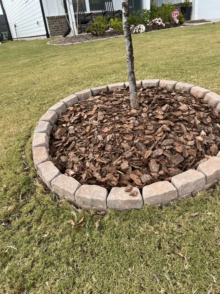 Top-rated lawn care service in Henderson, NC - M&E Lawn Care