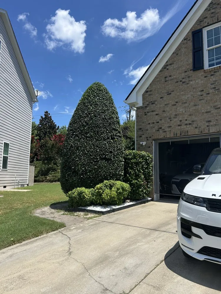 Local residential landscaping experts serving Henderson, NC - M&E Lawn Care