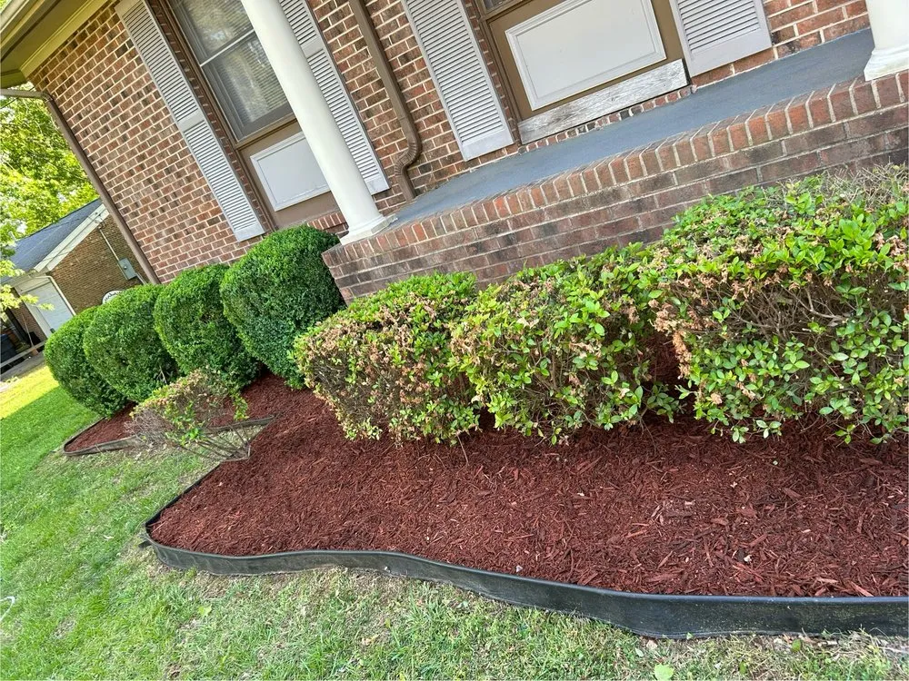 Local residential landscaping in Henderson, NC by M&E Lawn Care