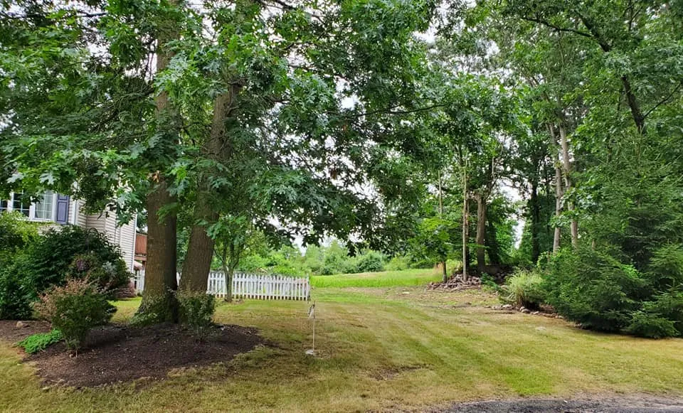 Professional yard cleanup service in Smithfield, RI by Me Yarder Exterior Services