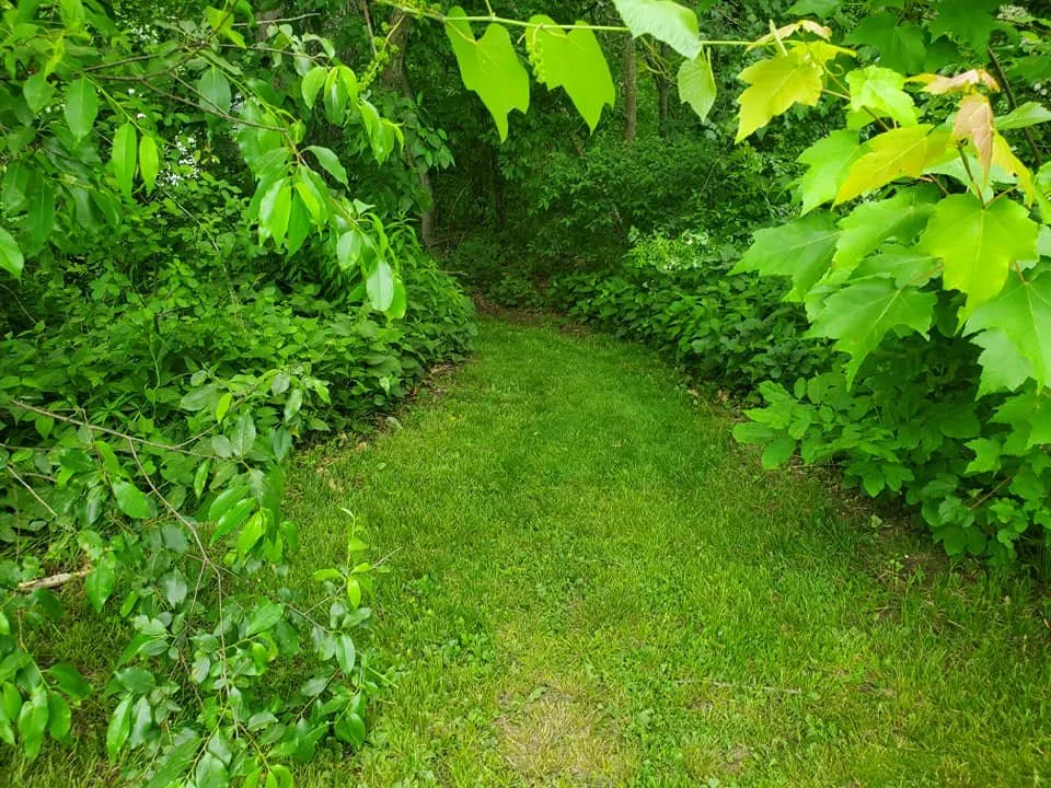Professional lawn mowing service near you across Smithfield, RI - Me Yarder Exterior Services