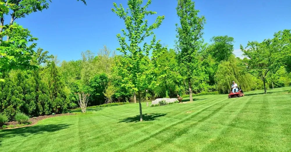 Professional lawn care service experts serving Smithfield, RI - Me Yarder Exterior Services