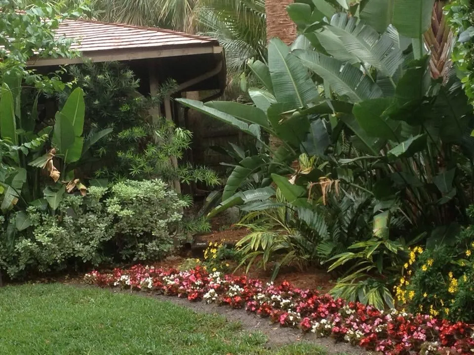 Expert lawn care service experts serving Winter Springs, FL - Mead Don Landscape