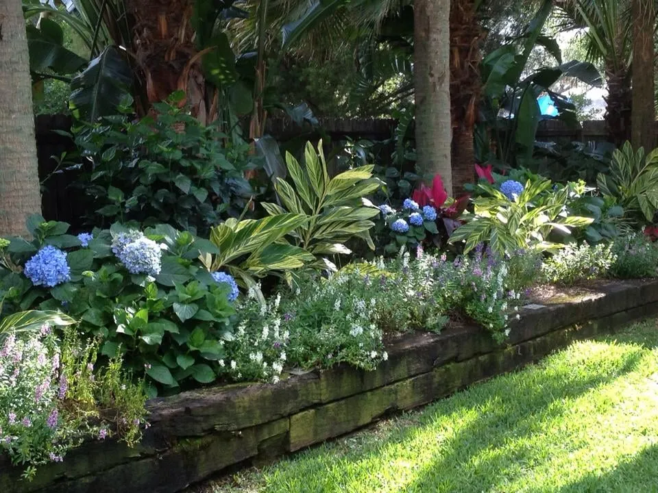 Trusted lawn care service near you across Winter Springs, FL - Mead Don Landscape