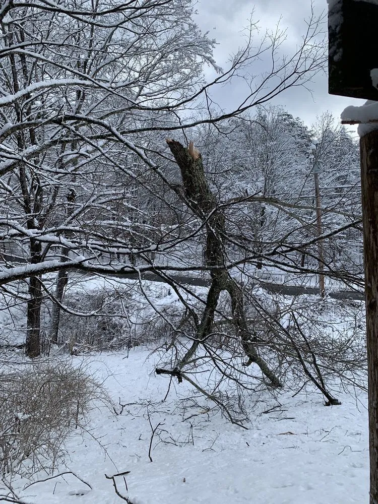 Custom residential landscaping for year-round maintenance in Pepperell, MA by Mead Tree & Landscape