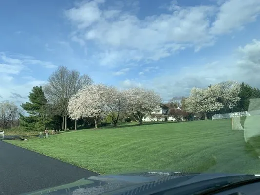 Mead Tree & Turf Care Logo