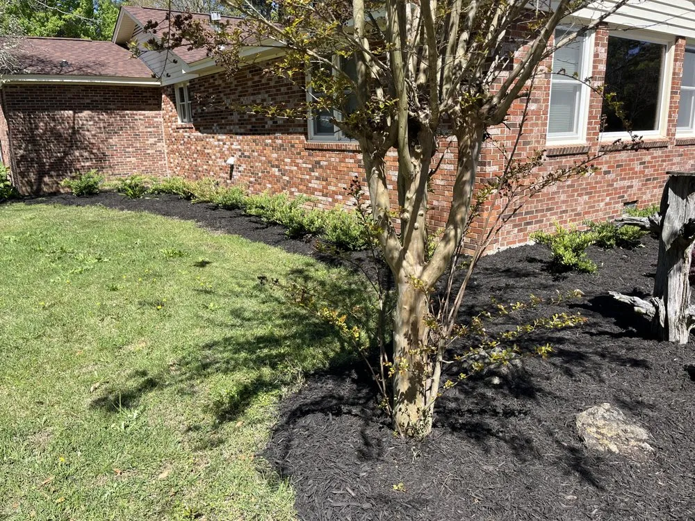 Local lawn mowing service in Augusta, GA by Meador Land Management