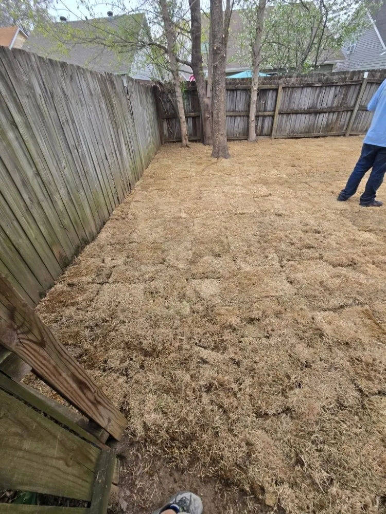 Top-rated yard maintenance experts serving Olive Branch, MS - Meadors Southern Lawn Services